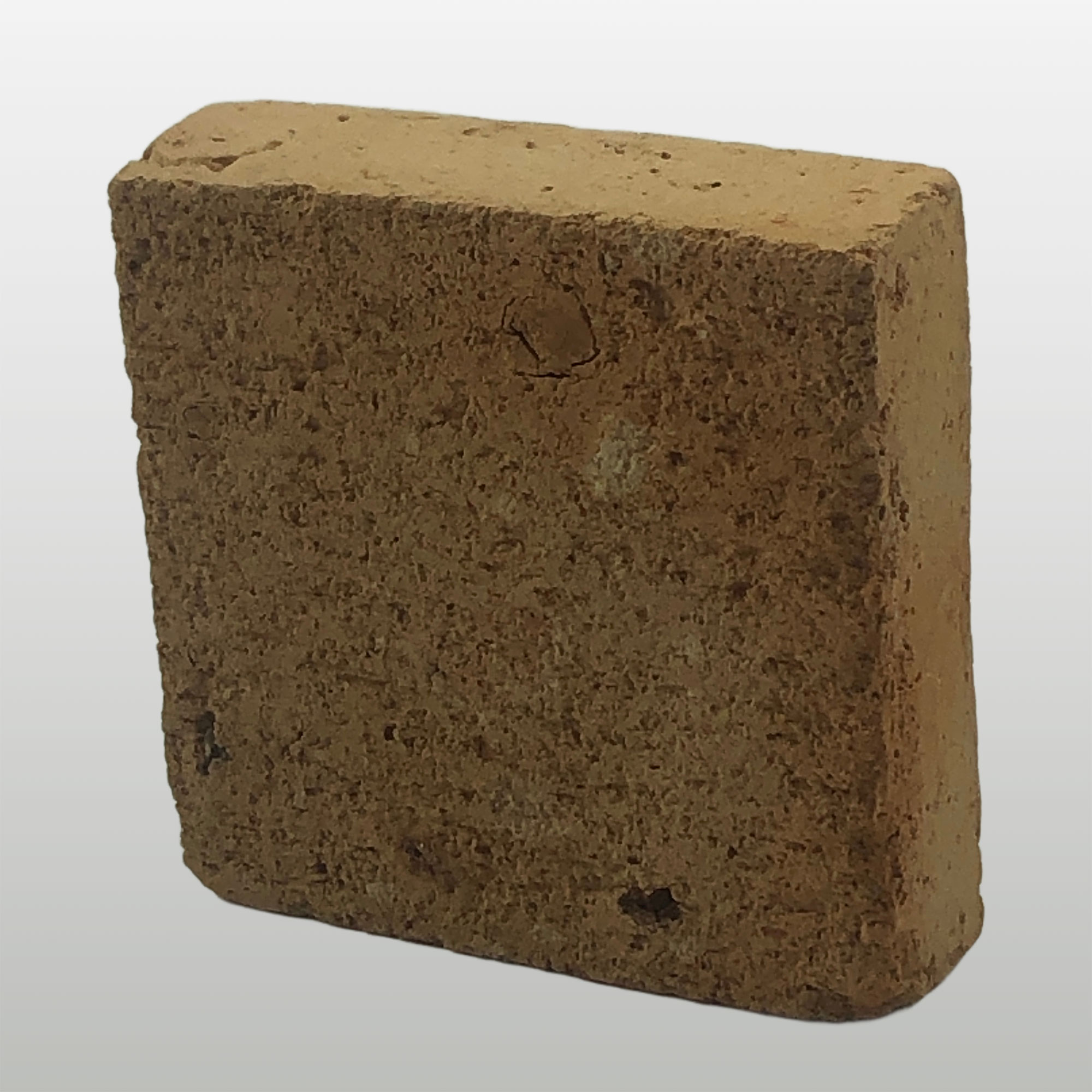 GALLETA ARTESANAL 10X10 SUSUDEL